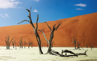 Big Daddy dune Sossusvlei Namibia